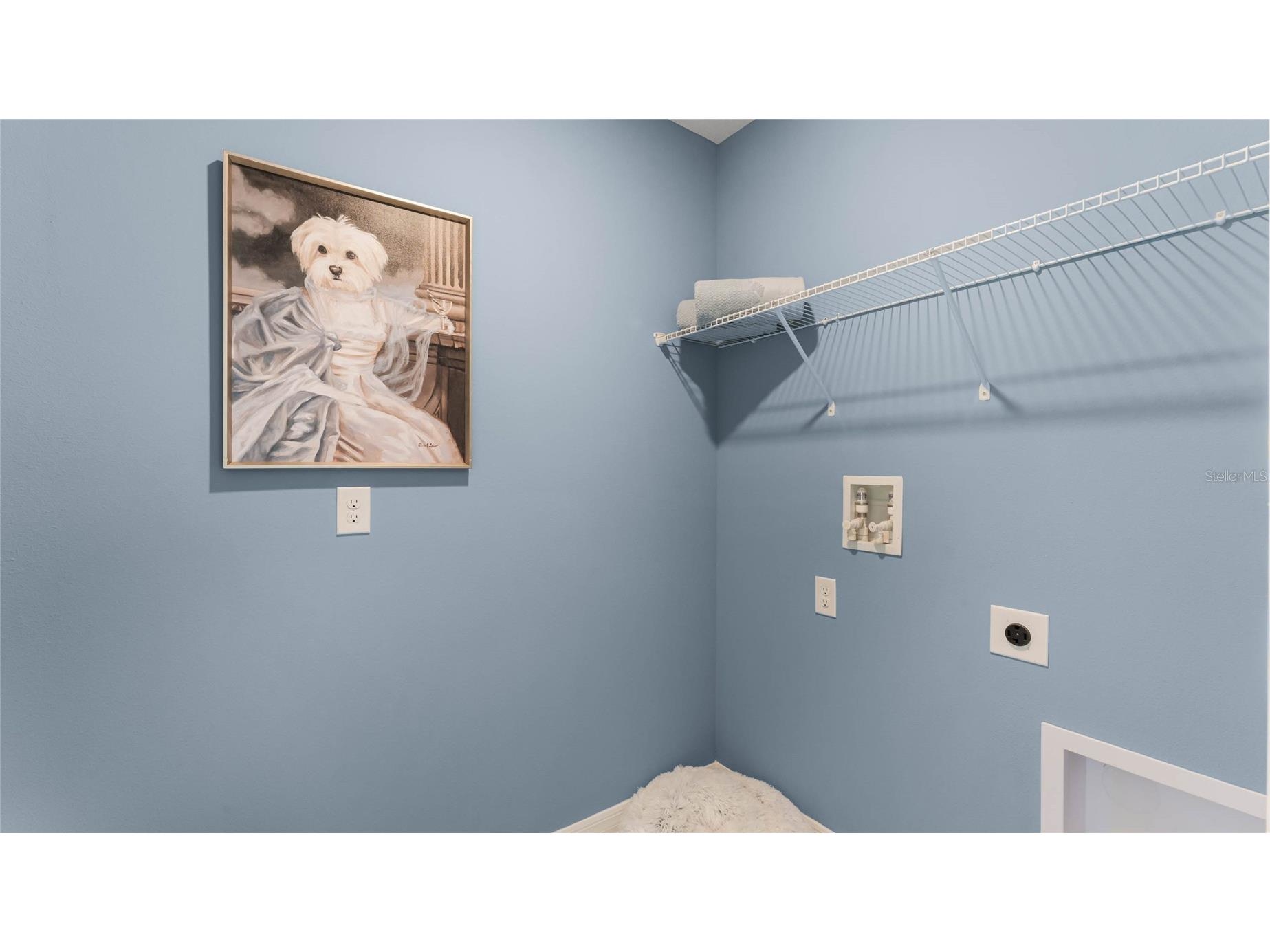 35540 Kinsey Point Zephyrhills FL 33541 TB8471739 image24