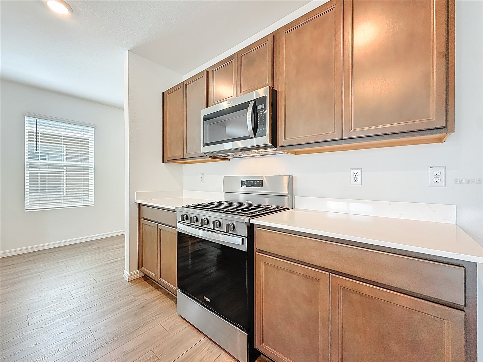 35541 Kinsey Point Zephyrhills FL 33541 TB8493685 image12