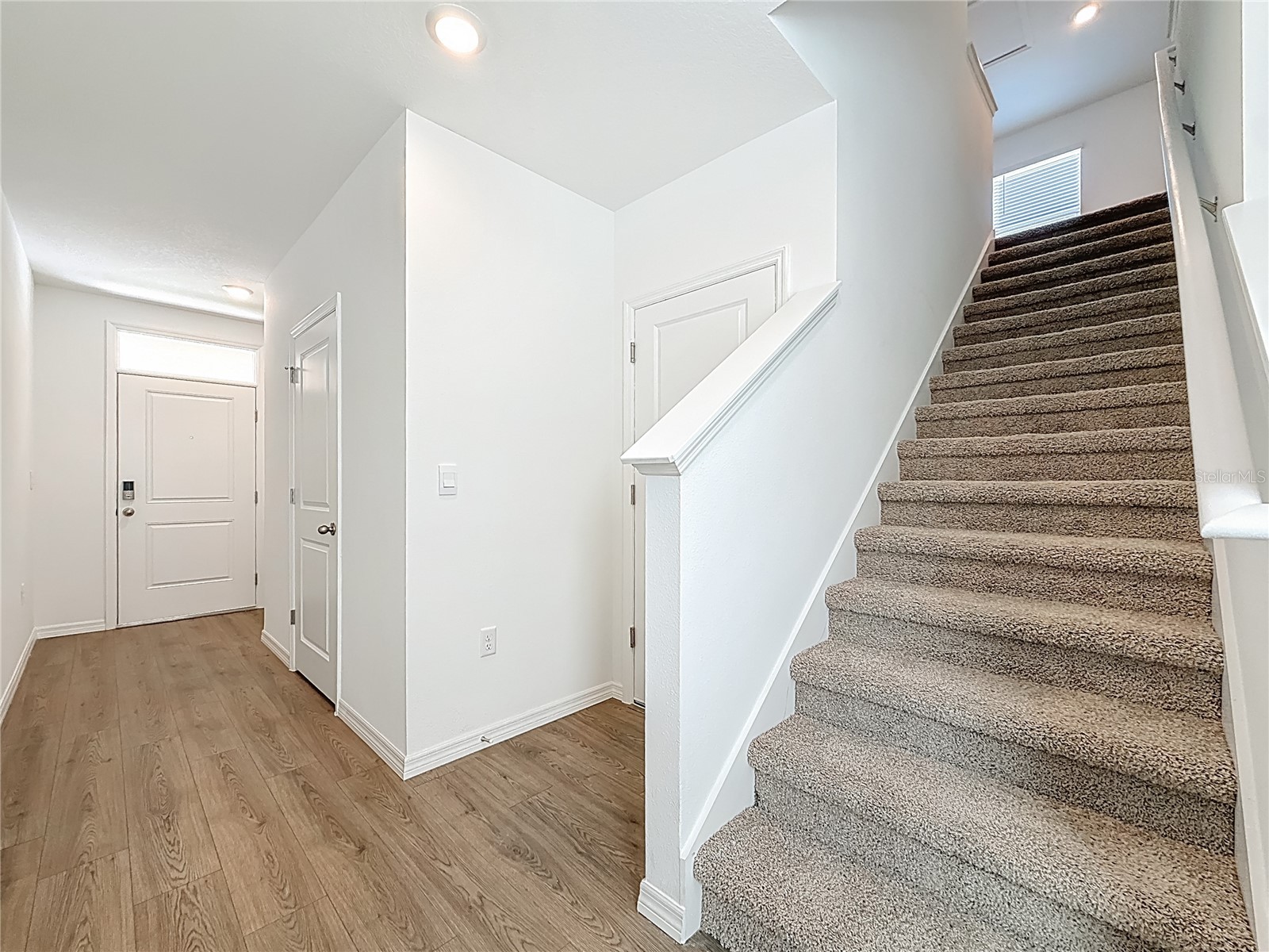 35541 Kinsey Point Zephyrhills FL 33541 TB8493685 image26