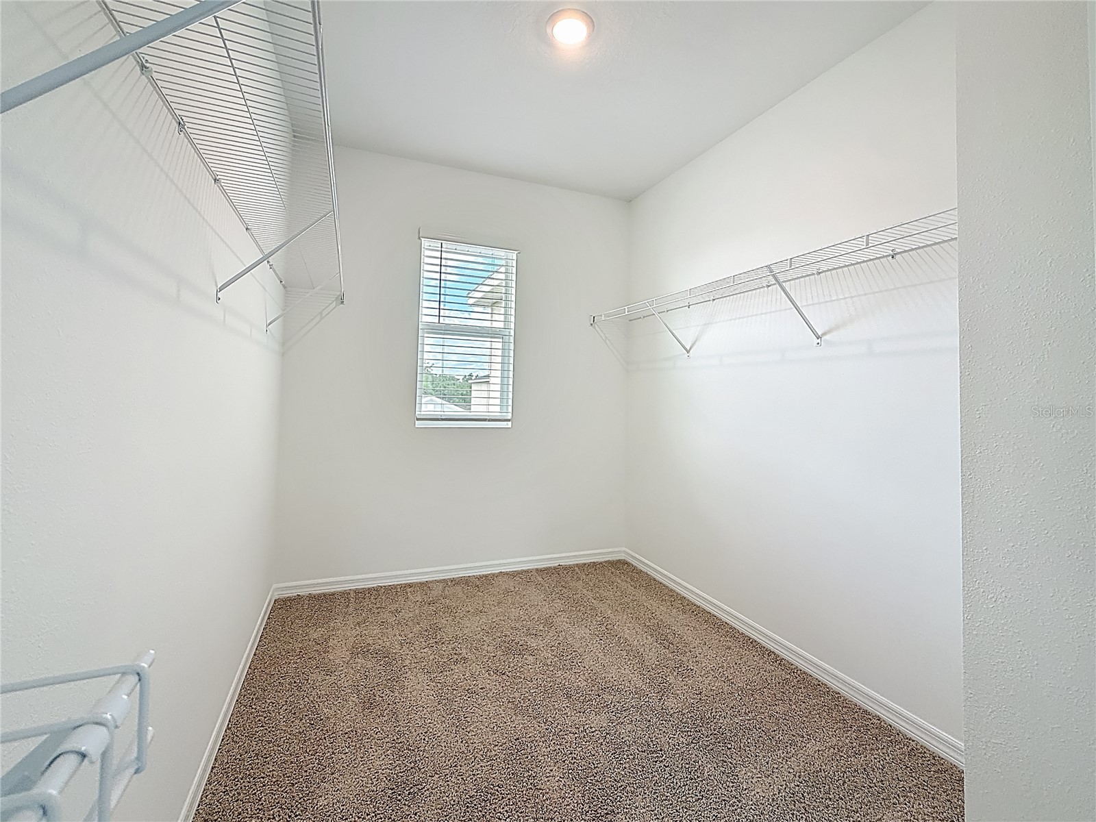 35541 Kinsey Point Zephyrhills FL 33541 TB8493685 image33