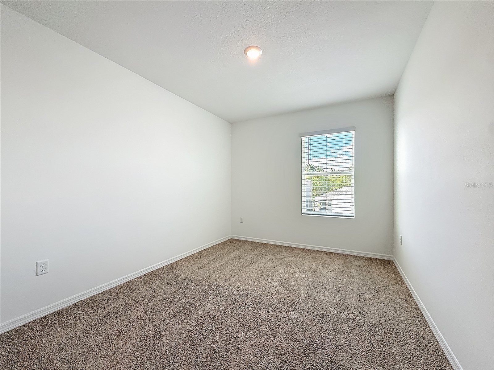 35541 Kinsey Point Zephyrhills FL 33541 TB8493685 image42