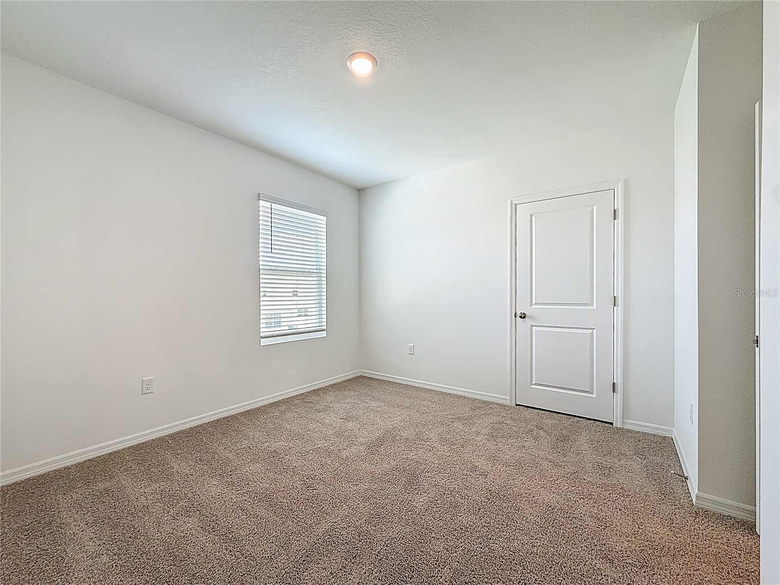 35541 Kinsey Point Zephyrhills FL 33541 TB8493685 image45
