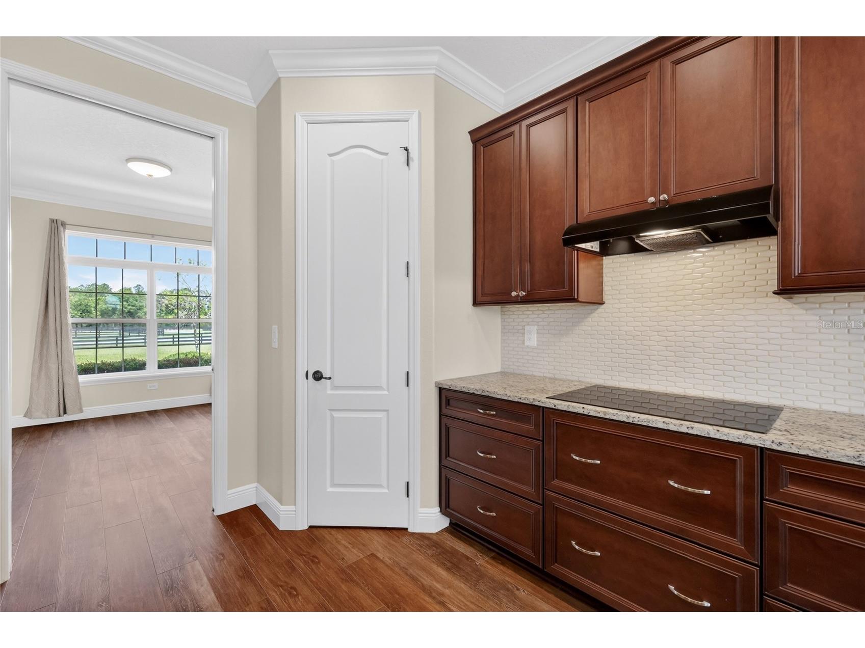 35542 Seneca Reserve Drive Eustis FL 32736 G5113019 image14