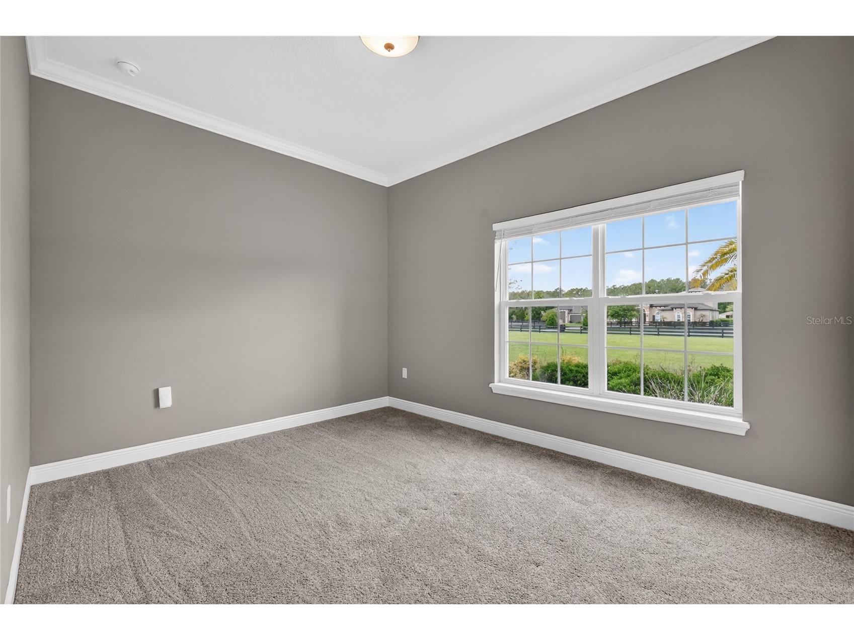 35542 Seneca Reserve Drive Eustis FL 32736 G5113019 image37