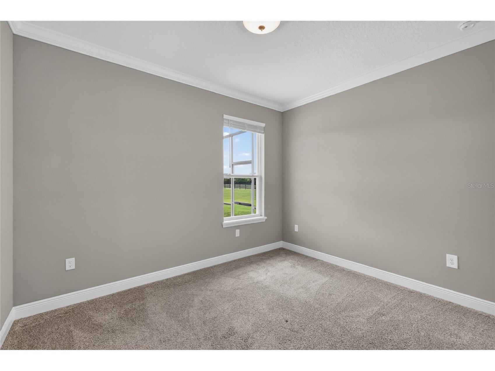 35542 Seneca Reserve Drive Eustis FL 32736 G5113019 image42