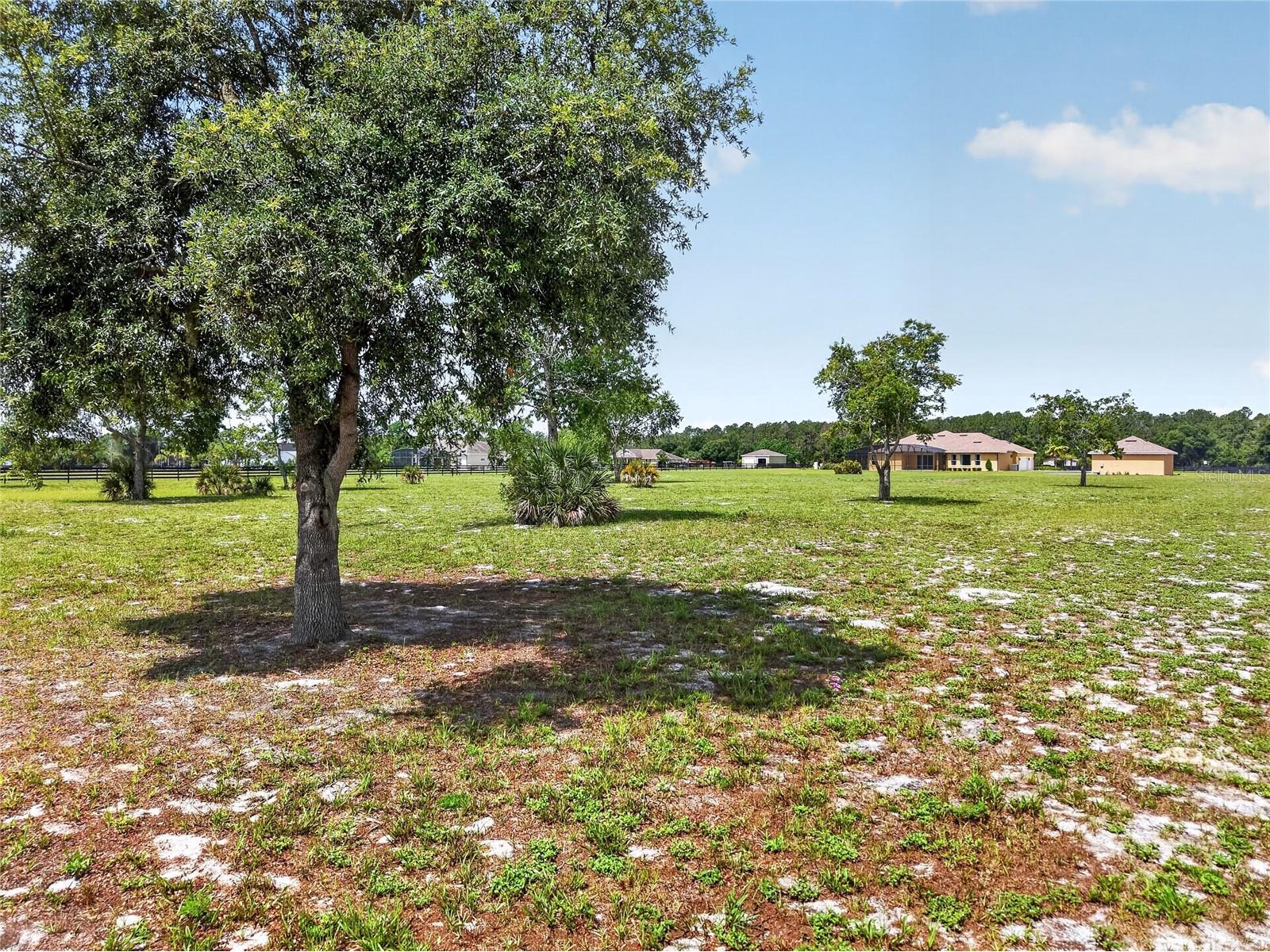 35542 Seneca Reserve Drive Eustis FL 32736 G5113019 image62