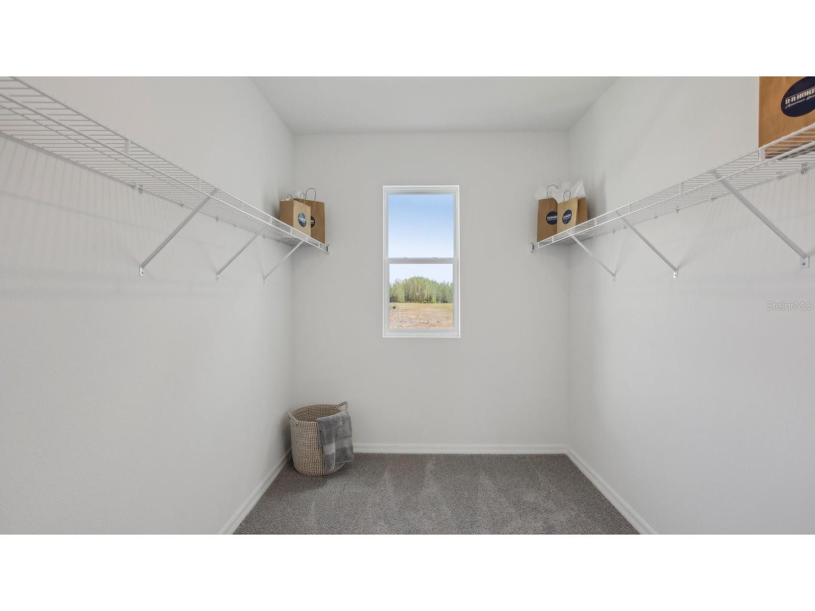 35542 Sunflower Hill Drive Zephyrhills FL 33541 TB8467608 image26