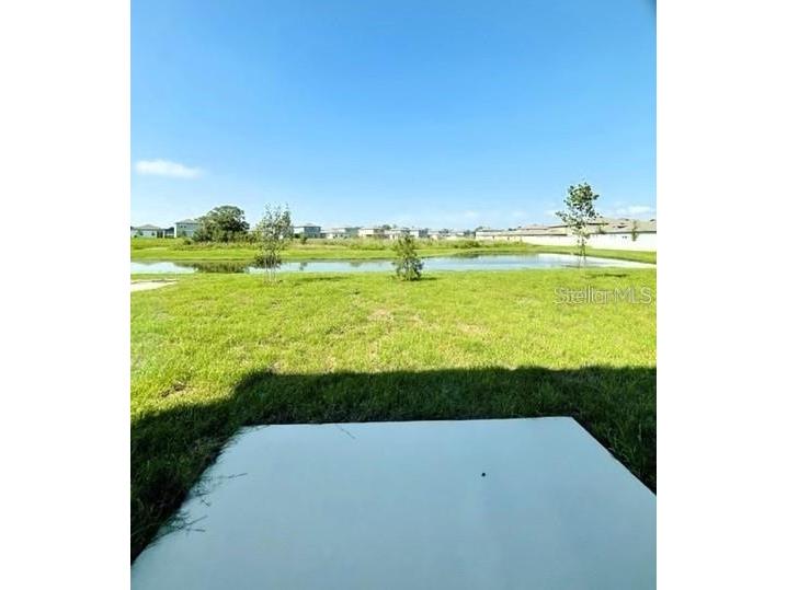 35545 Shade Fern Lane Zephyrhills FL 33541 TB8475501 image12