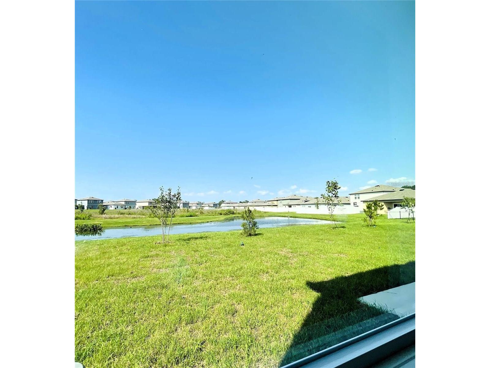 35545 Shade Fern Lane Zephyrhills FL 33541 TB8475501 image13