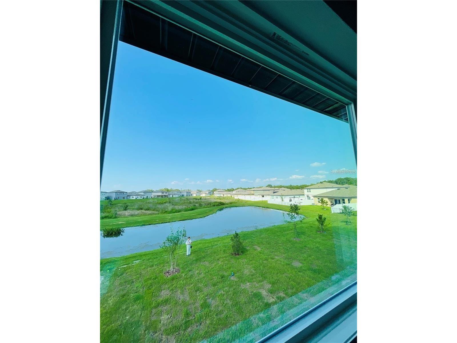 35545 Shade Fern Lane Zephyrhills FL 33541 TB8475501 image15