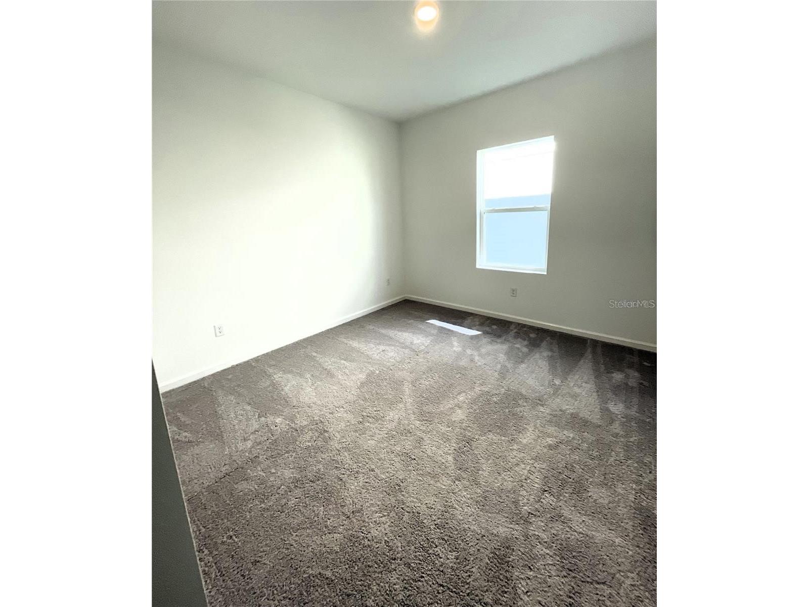 35545 Shade Fern Lane Zephyrhills FL 33541 TB8475501 image7