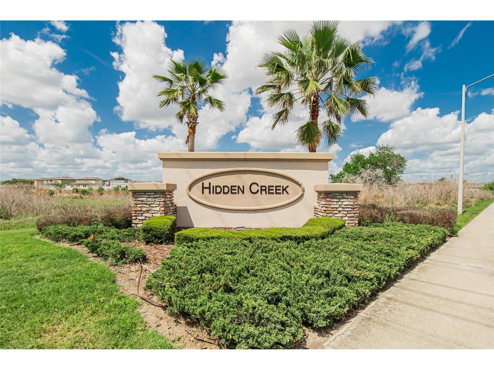 35554 Eastbrook Avenue Zephyrhills FL 33541 TB8490039 image32