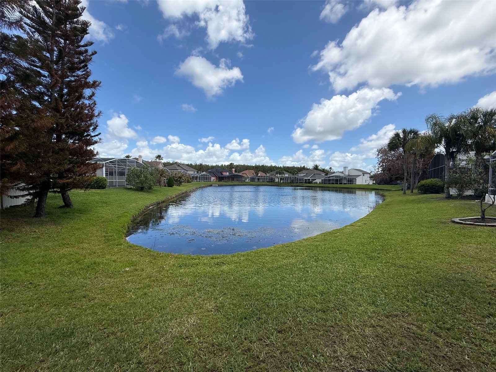 3556 Amaca Circle Orlando FL 32837 O6396082 image50