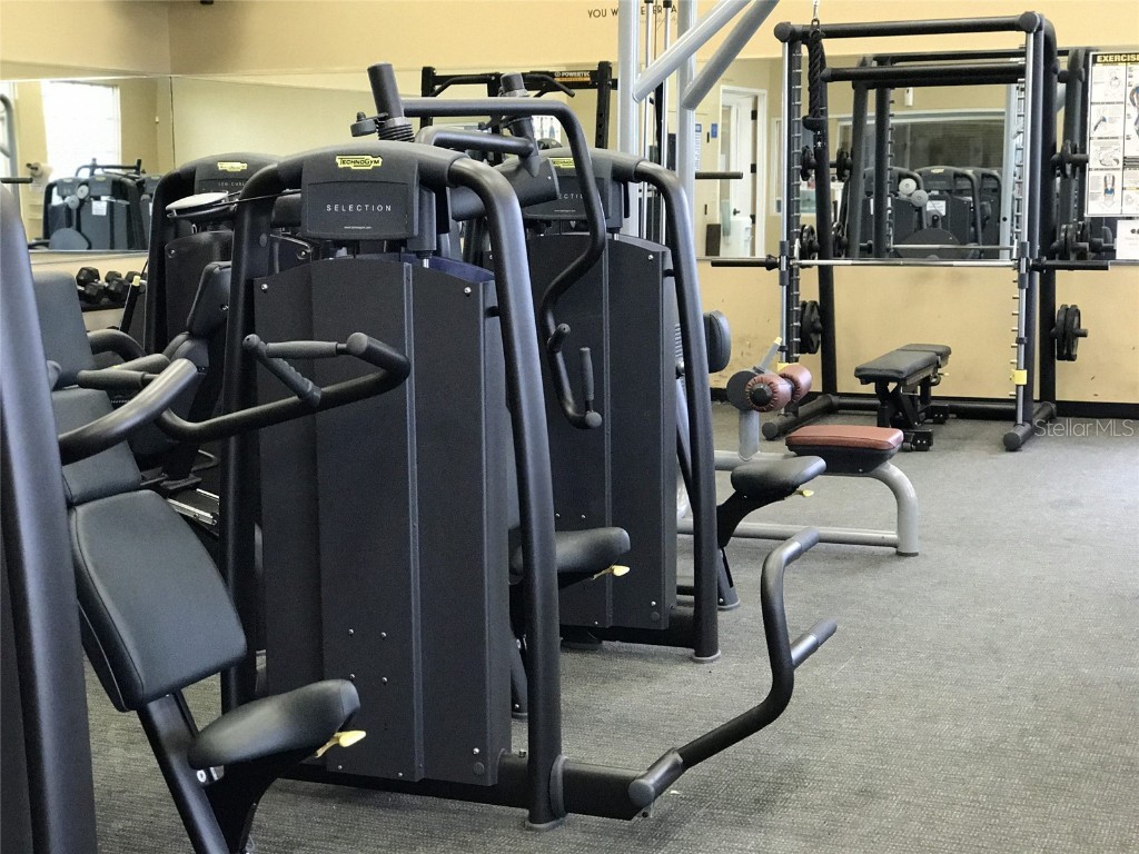 3556 Fieldstone Court Kissimmee FL 34746 O6362841 image47