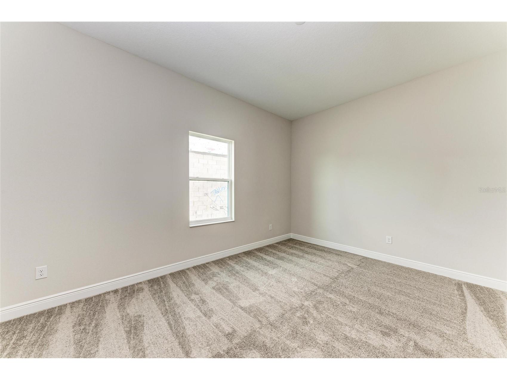 35564 Big Hawk Drive Zephyrhills FL 33541 TB8454936 image24