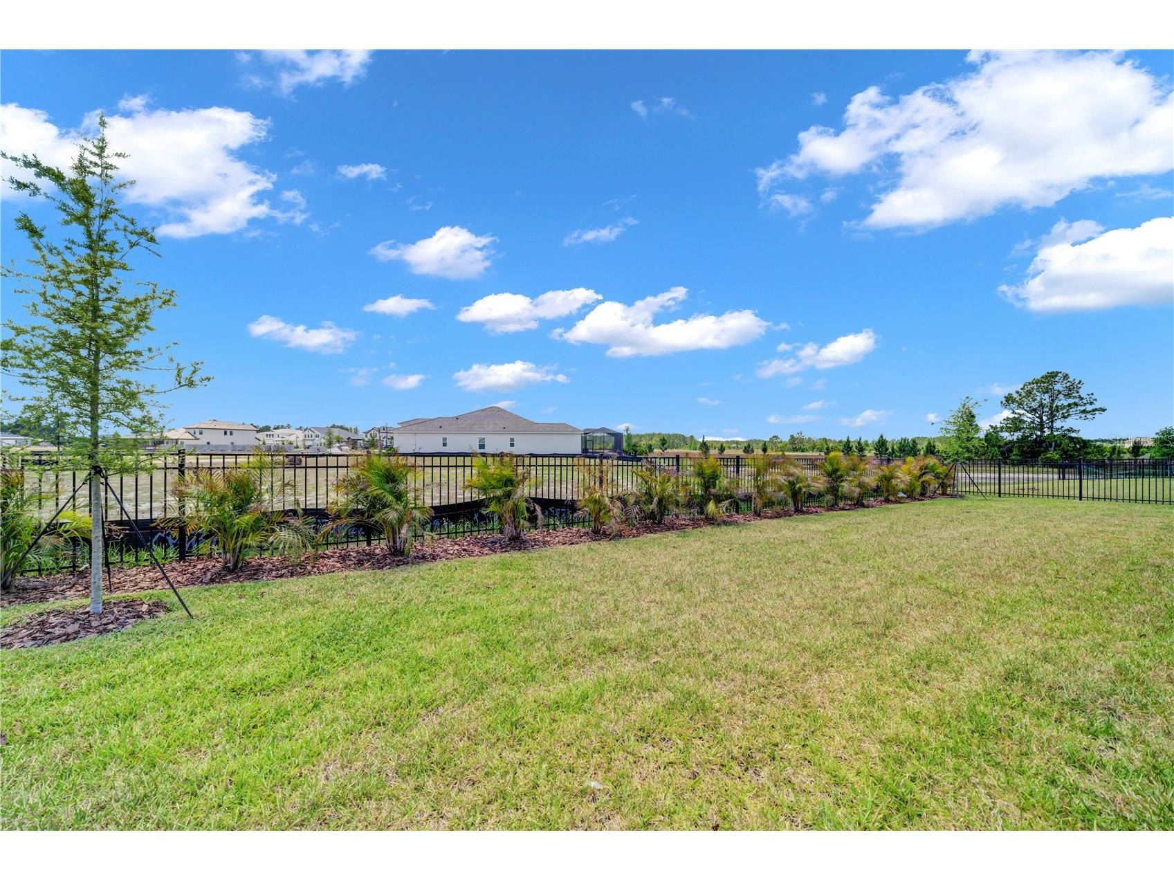 35564 Big Hawk Drive Zephyrhills FL 33541 TB8454936 image42