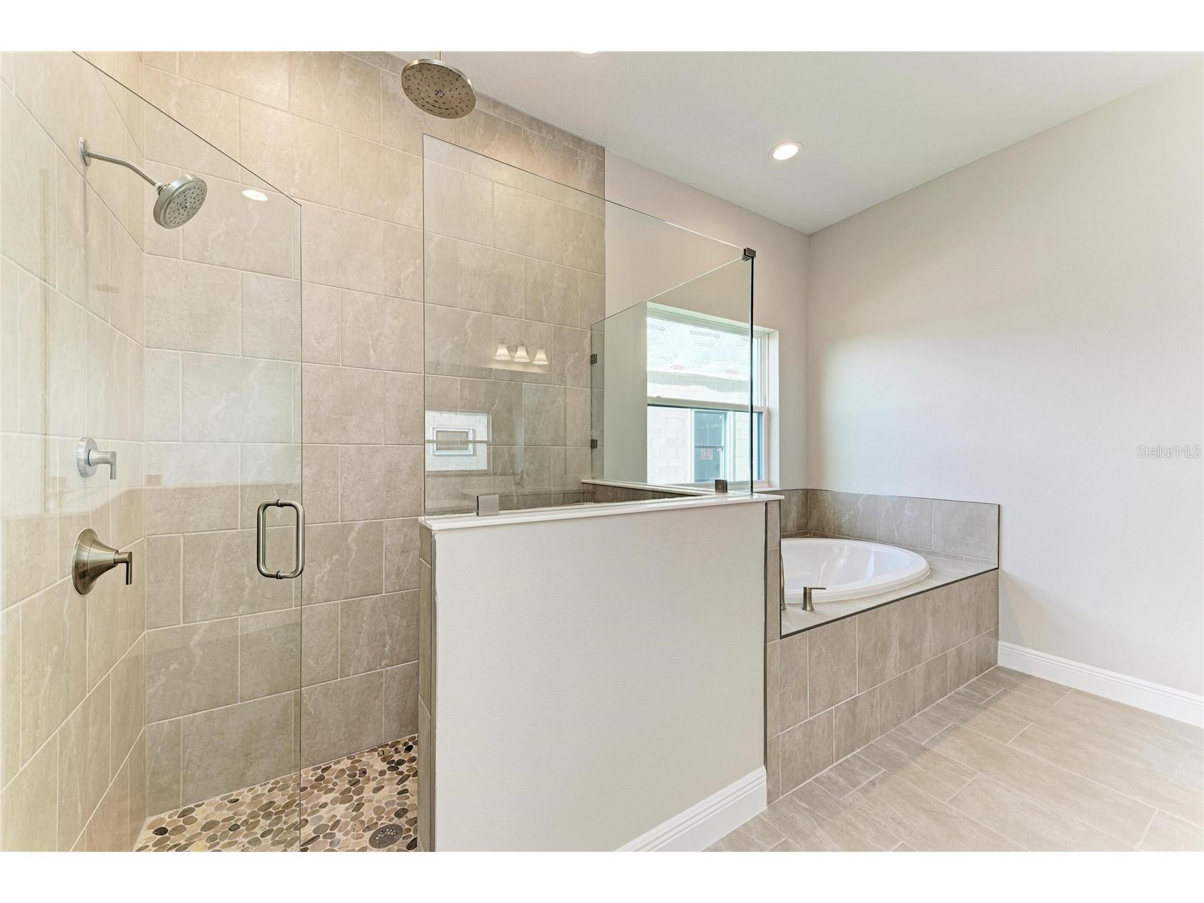 35564 Big Hawk Drive Zephyrhills FL 33541 TB8454936 image8