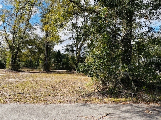 3557 Frederick Avenue Bell FL 32619 GC519096 image1
