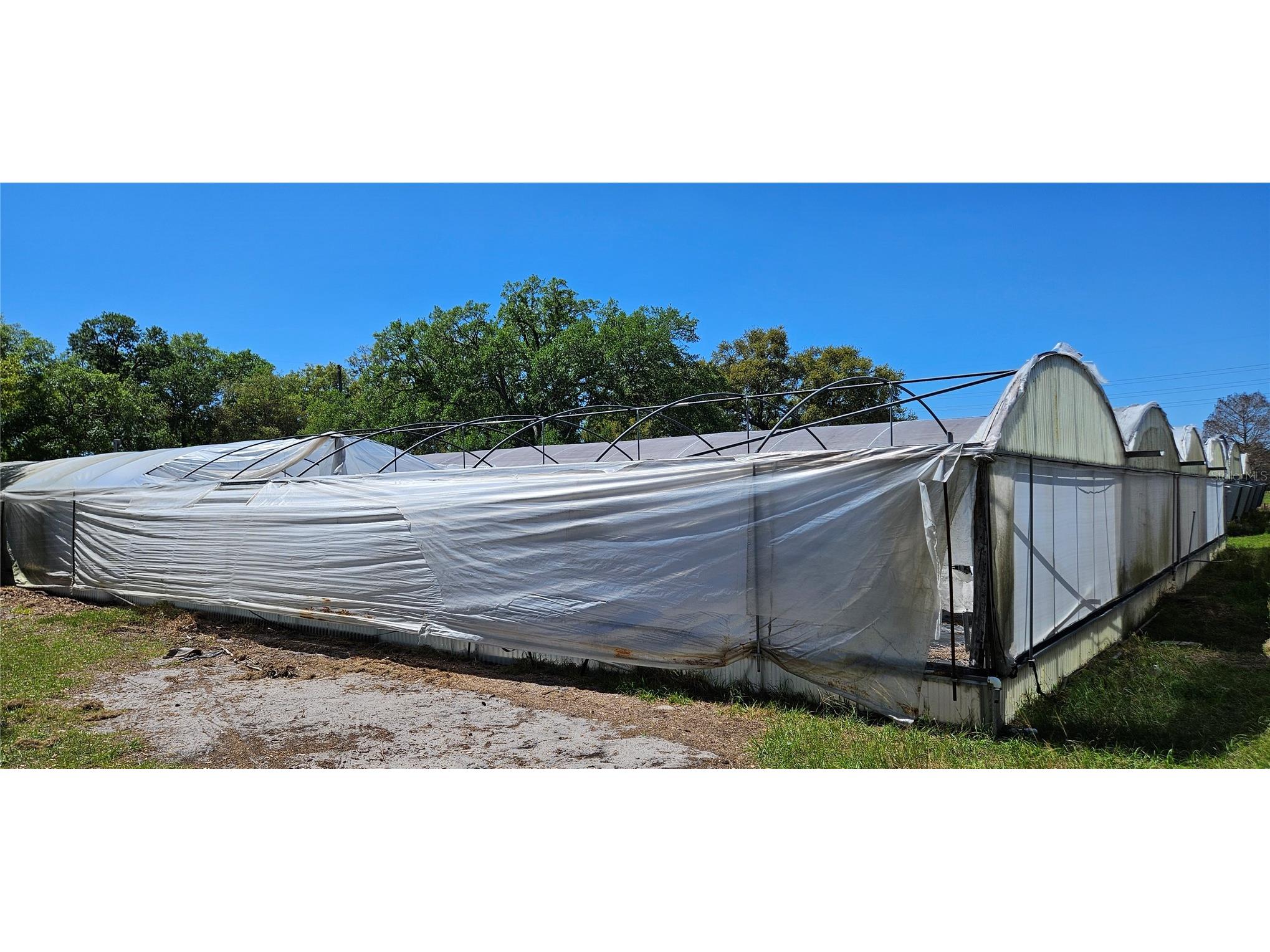 3557 Kokomo Road Haines City FL 33844 L4959654 image16