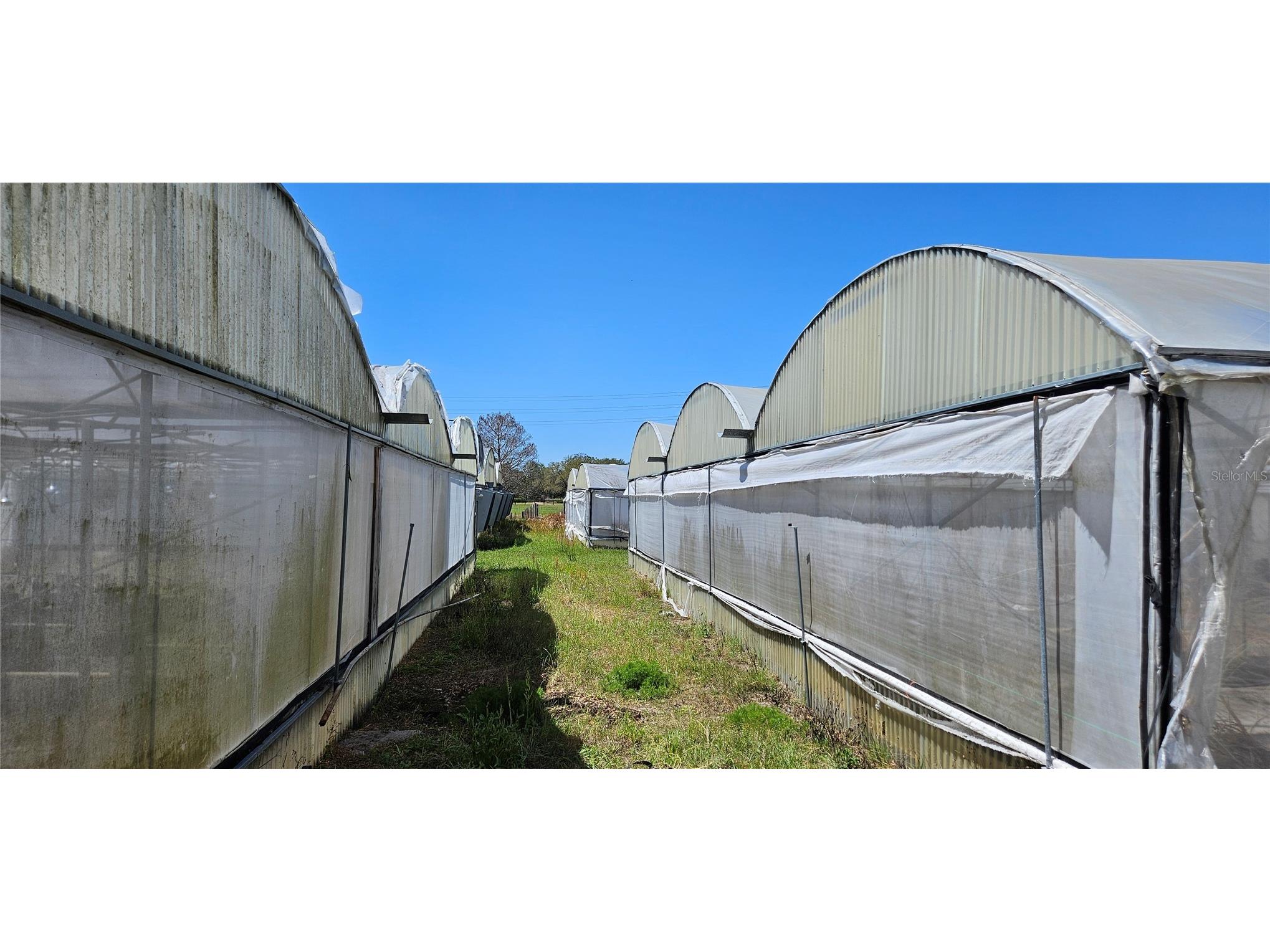 3557 Kokomo Road Haines City FL 33844 L4959654 image20