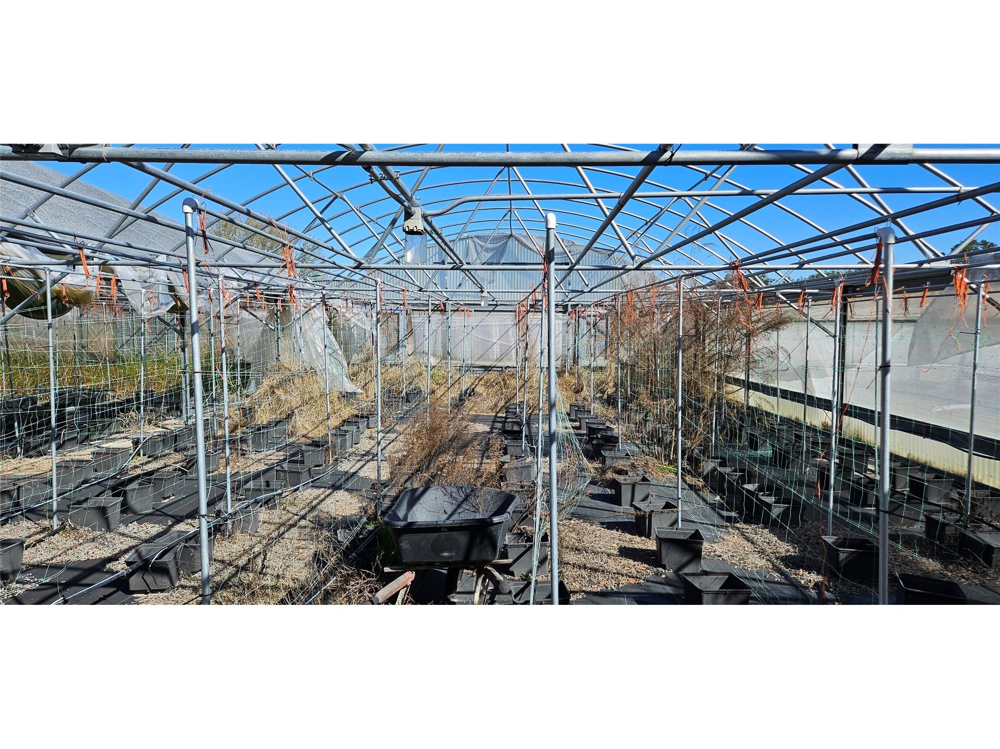 3557 Kokomo Road Haines City FL 33844 L4959654 image3