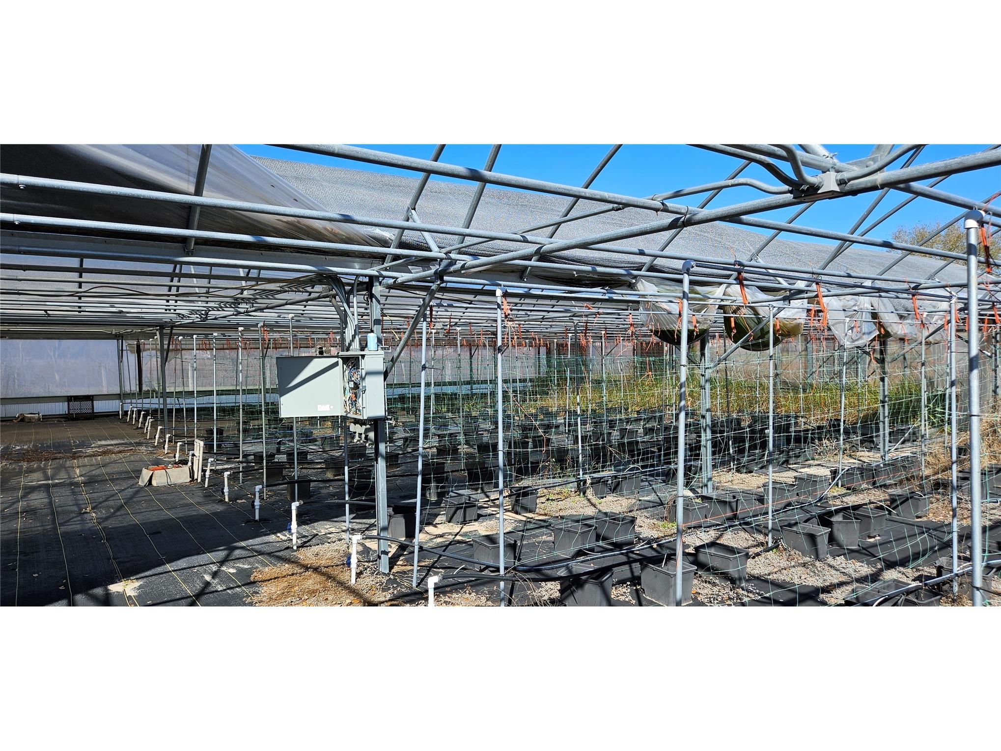 3557 Kokomo Road Haines City FL 33844 L4959654 image4