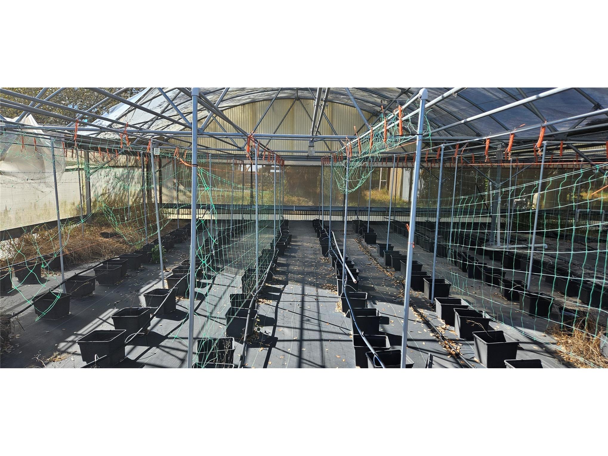 3557 Kokomo Road Haines City FL 33844 L4959654 image5