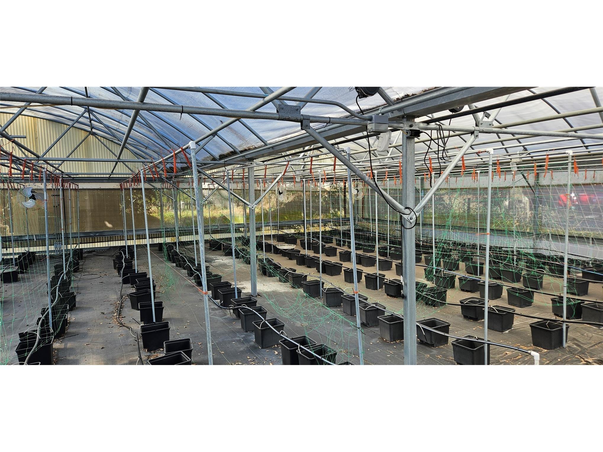 3557 Kokomo Road Haines City FL 33844 L4959654 image6