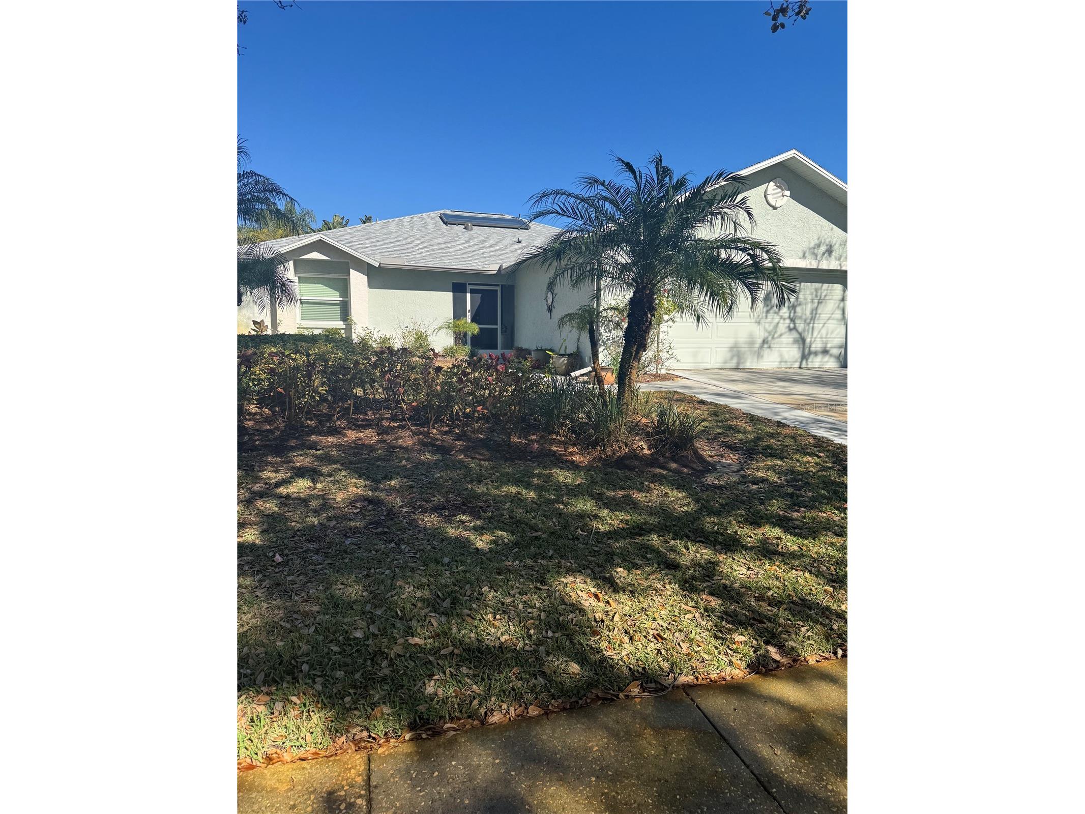 3557 Oak Lake Drive Palm Harbor FL 34684 TB8470547 image1