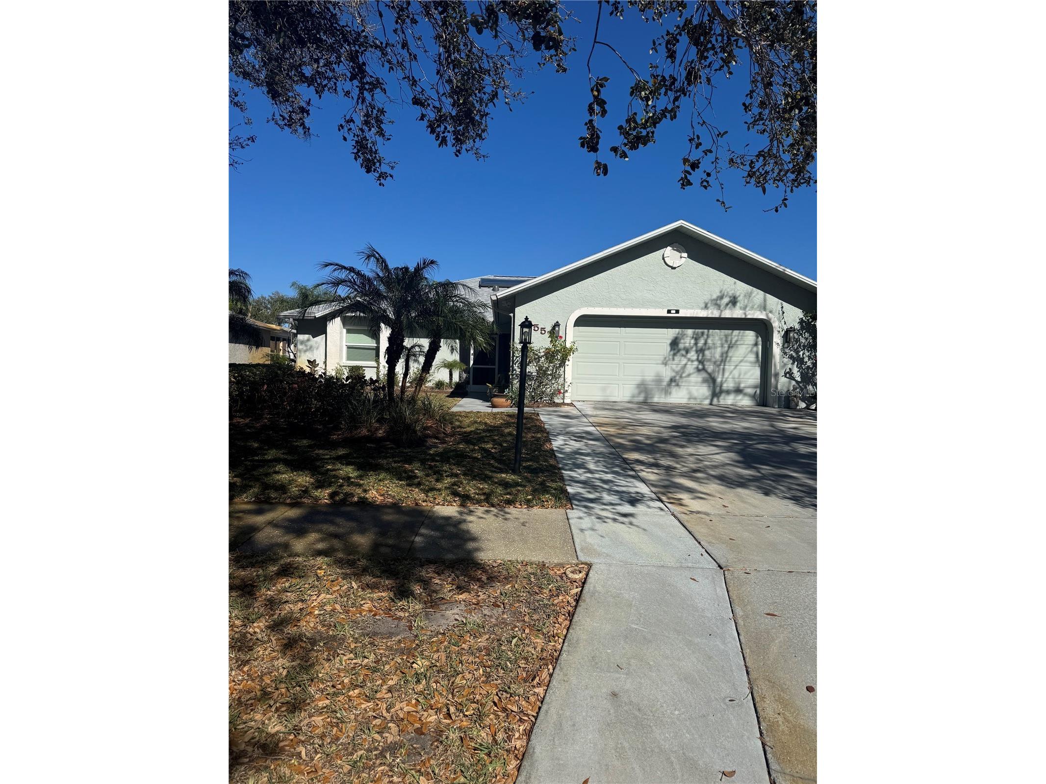 3557 Oak Lake Drive Palm Harbor FL 34684 TB8470547 image3
