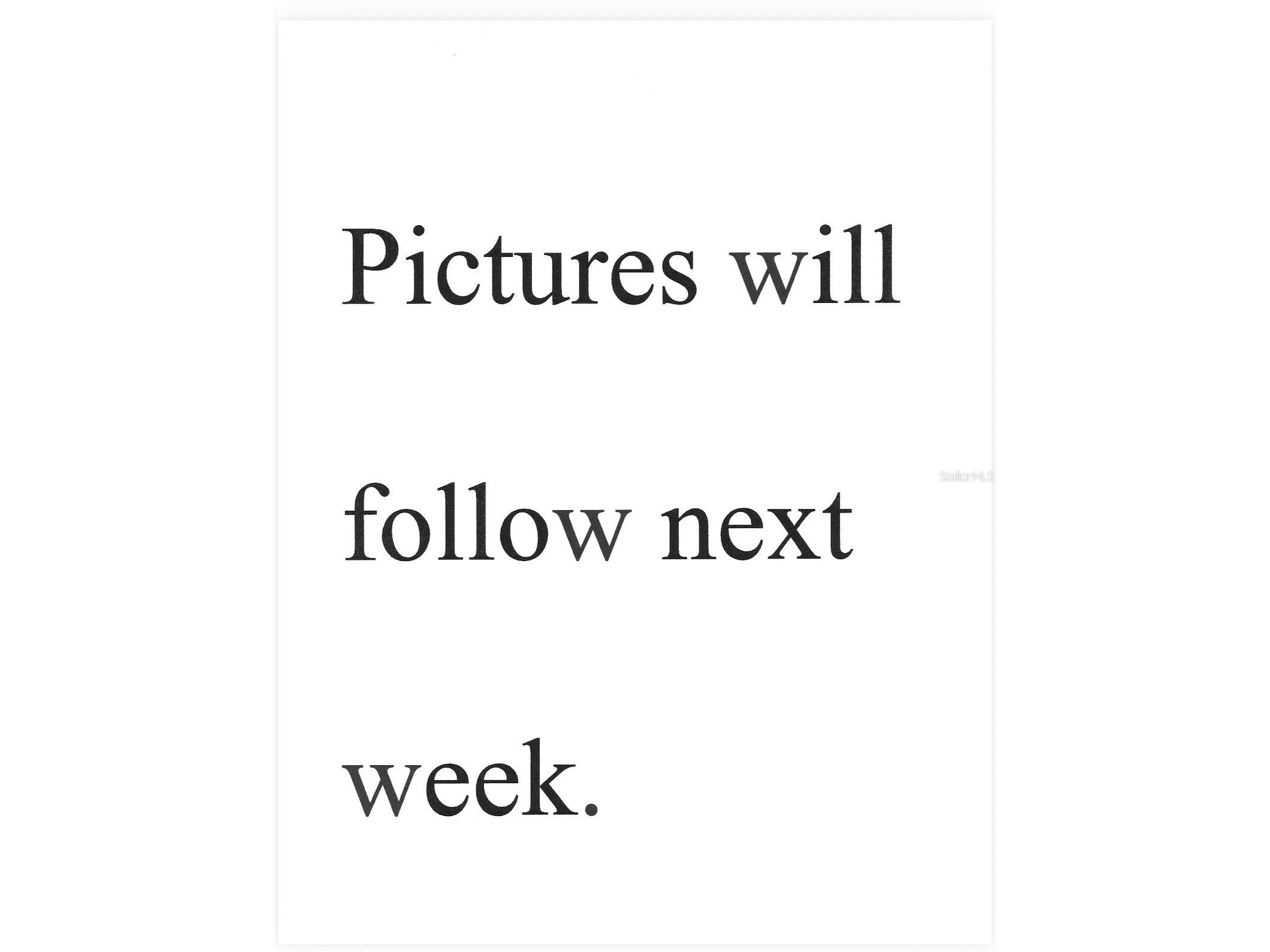 3557 Oak Lake Drive Palm Harbor FL 34684 TB8470547 image5