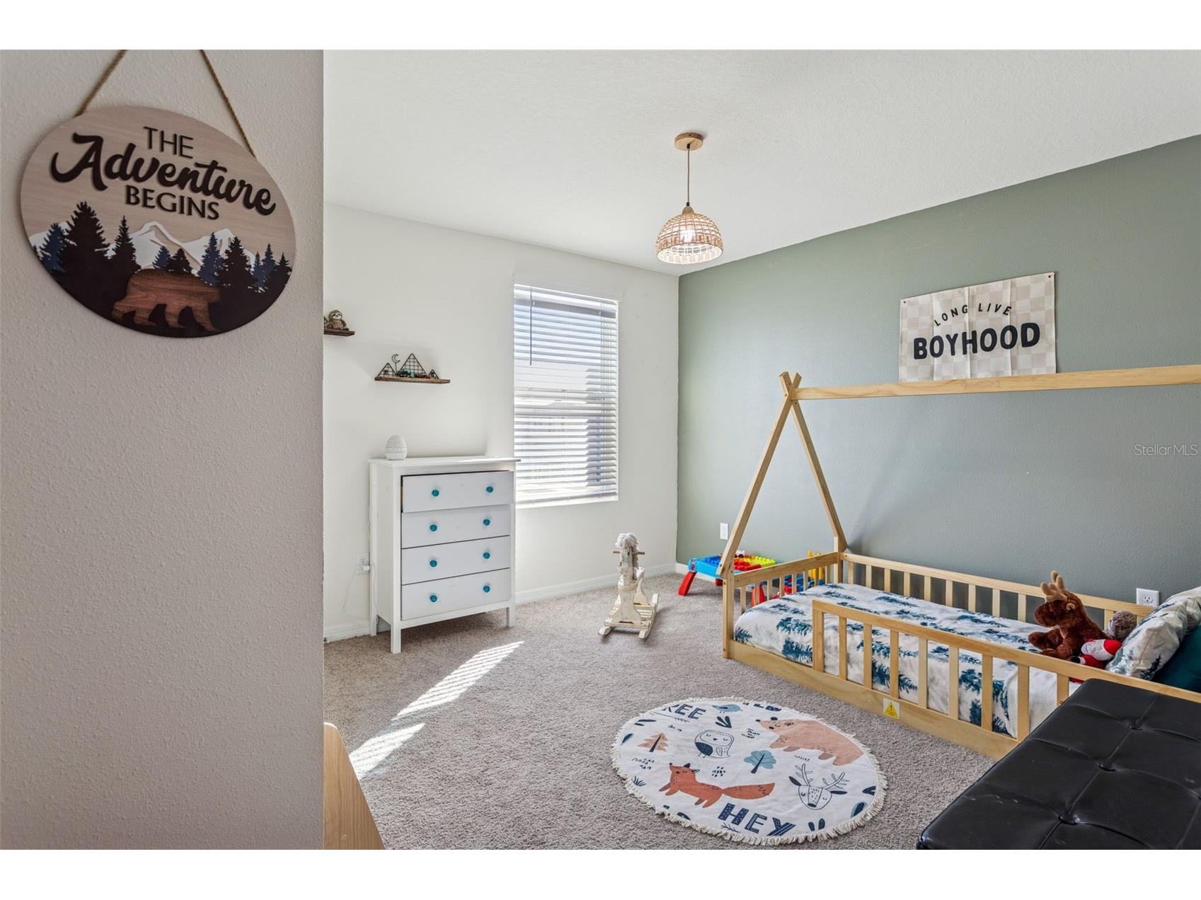 35571 Doveland Drive Zephyrhills FL 33541 TB8466434 image13