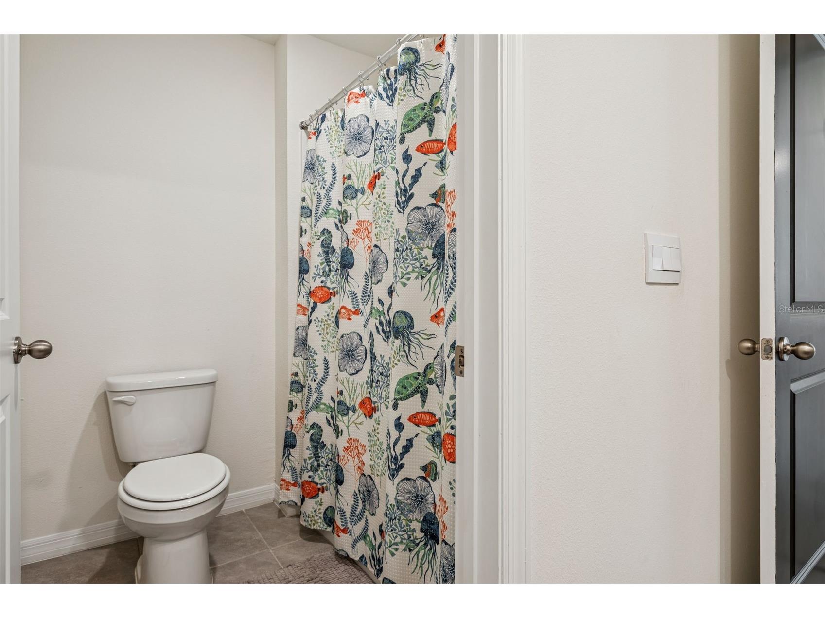 35571 Doveland Drive Zephyrhills FL 33541 TB8466434 image15