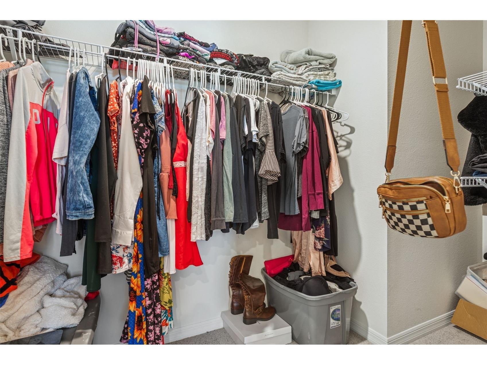 35571 Doveland Drive Zephyrhills FL 33541 TB8466434 image23