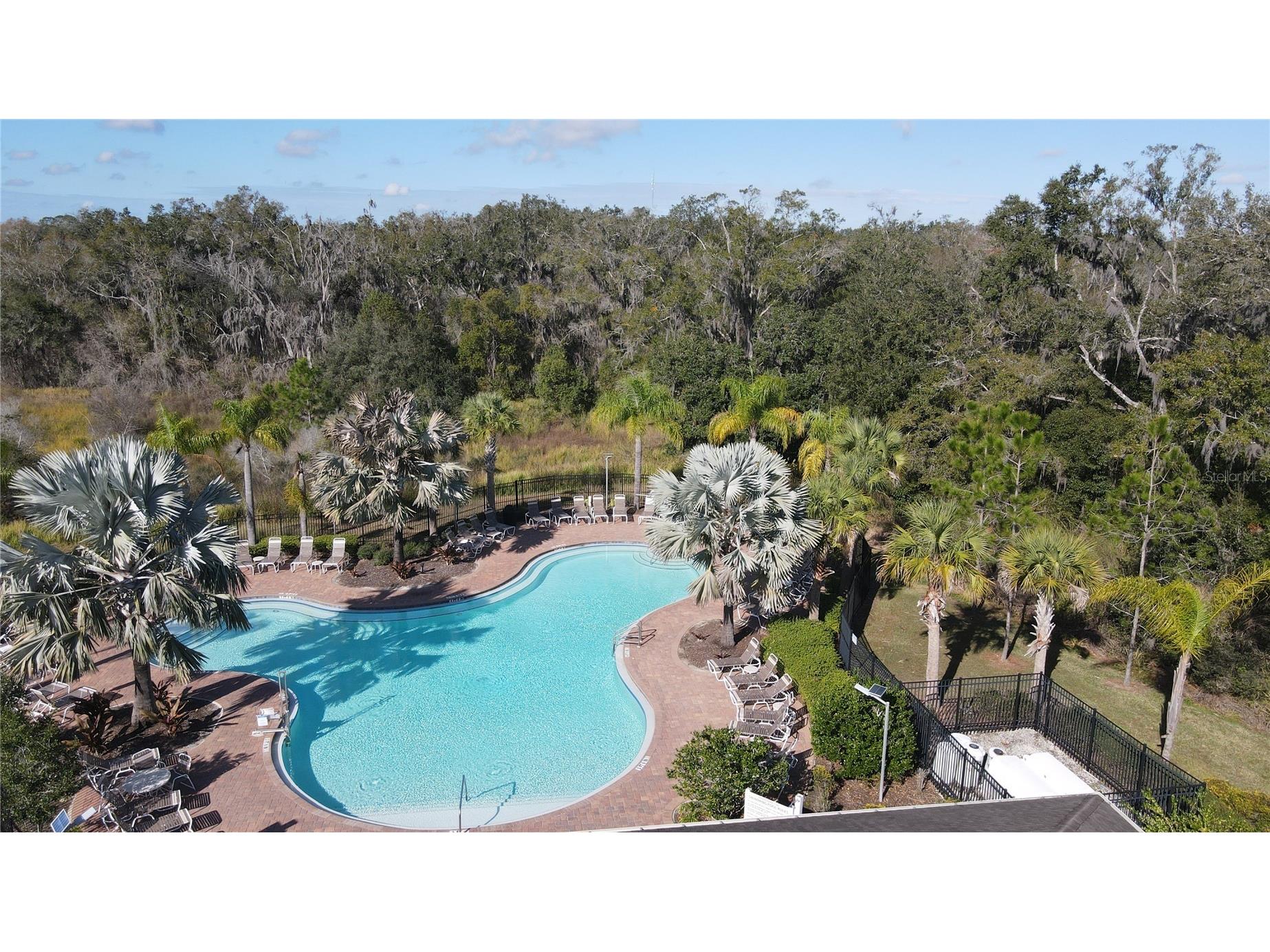 35571 Doveland Drive Zephyrhills FL 33541 TB8466434 image27