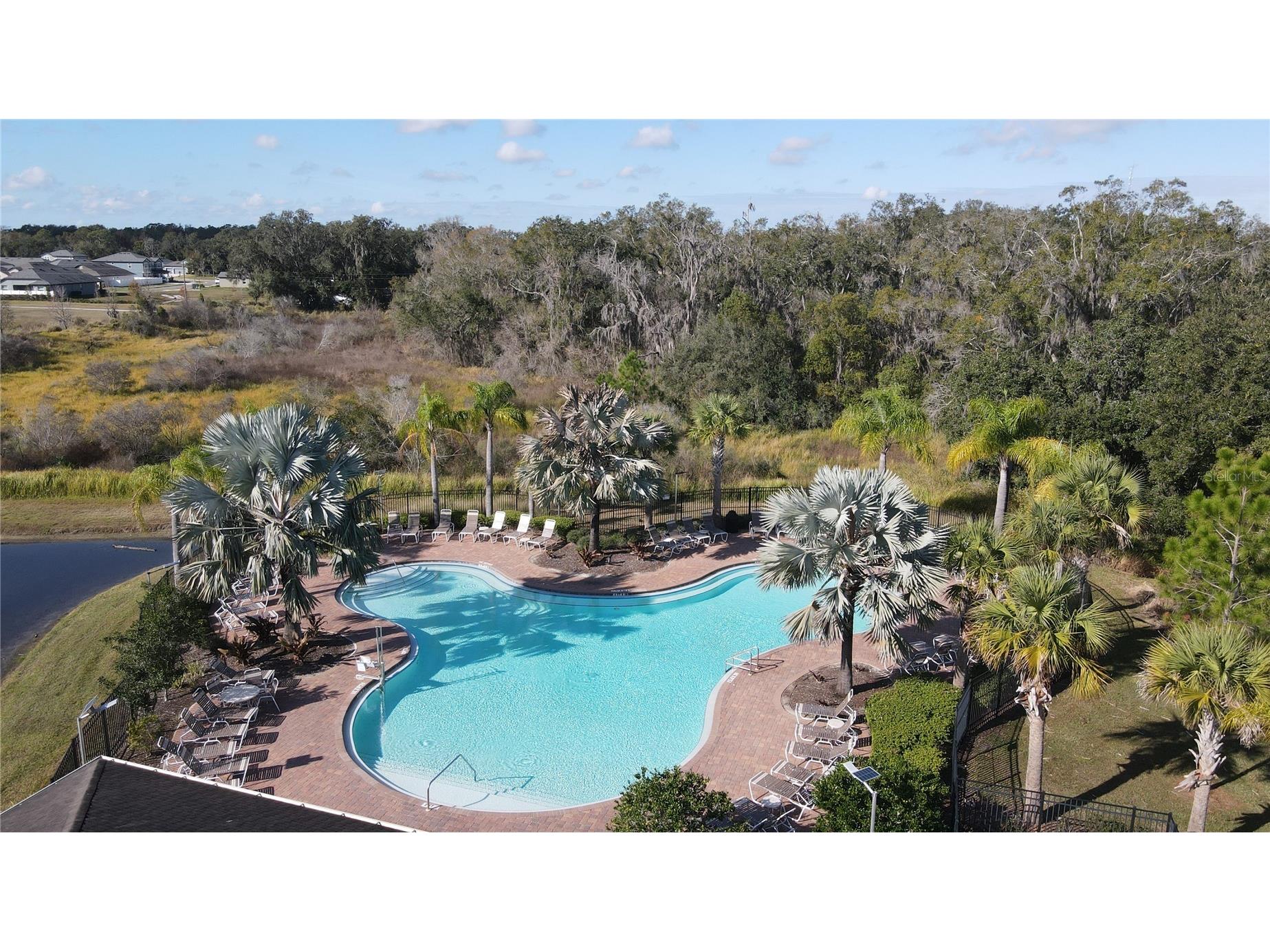 35571 Doveland Drive Zephyrhills FL 33541 TB8466434 image28