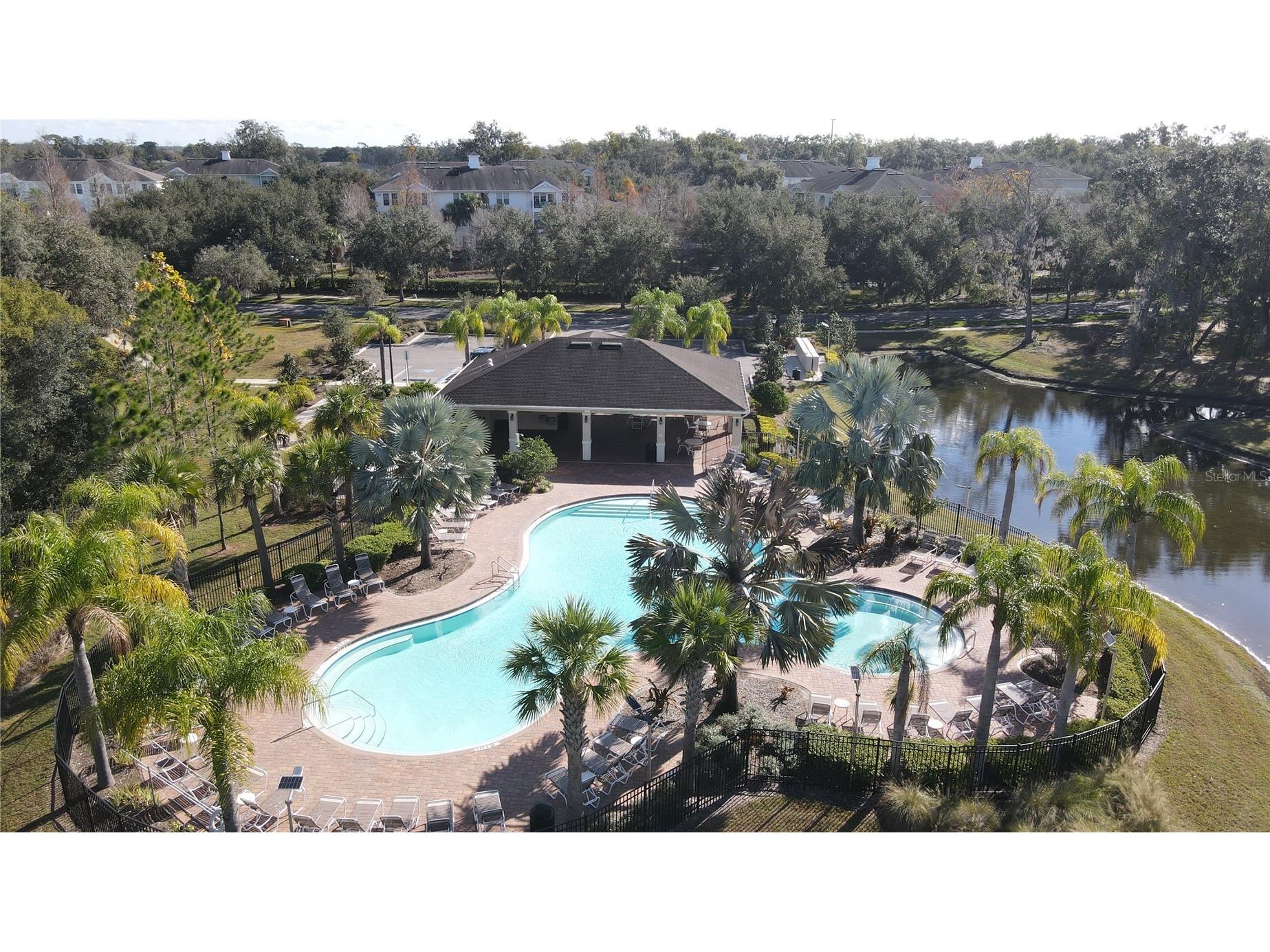 35571 Doveland Drive Zephyrhills FL 33541 TB8466434 image29