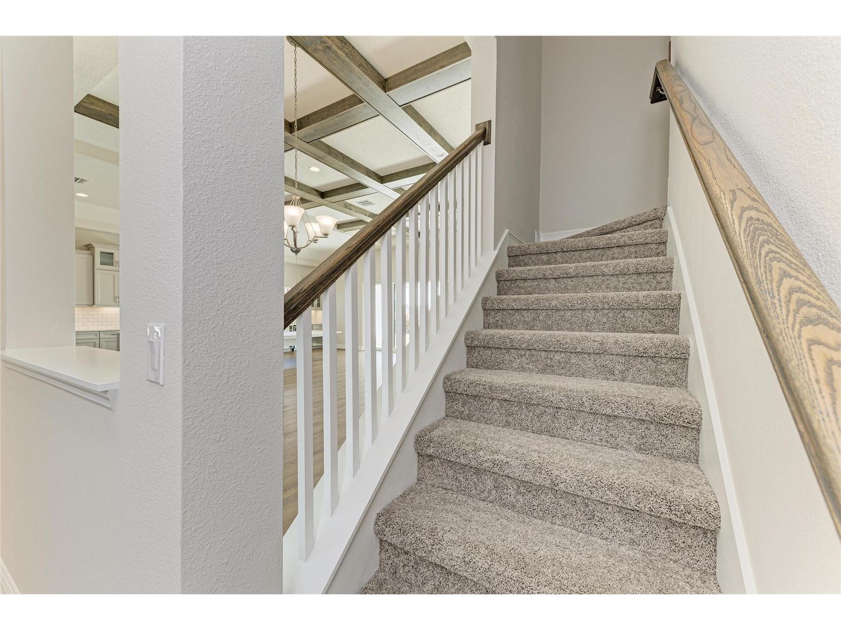 35576 Big Hawk Drive Zephyrhills FL 33541 TB8470639 image21