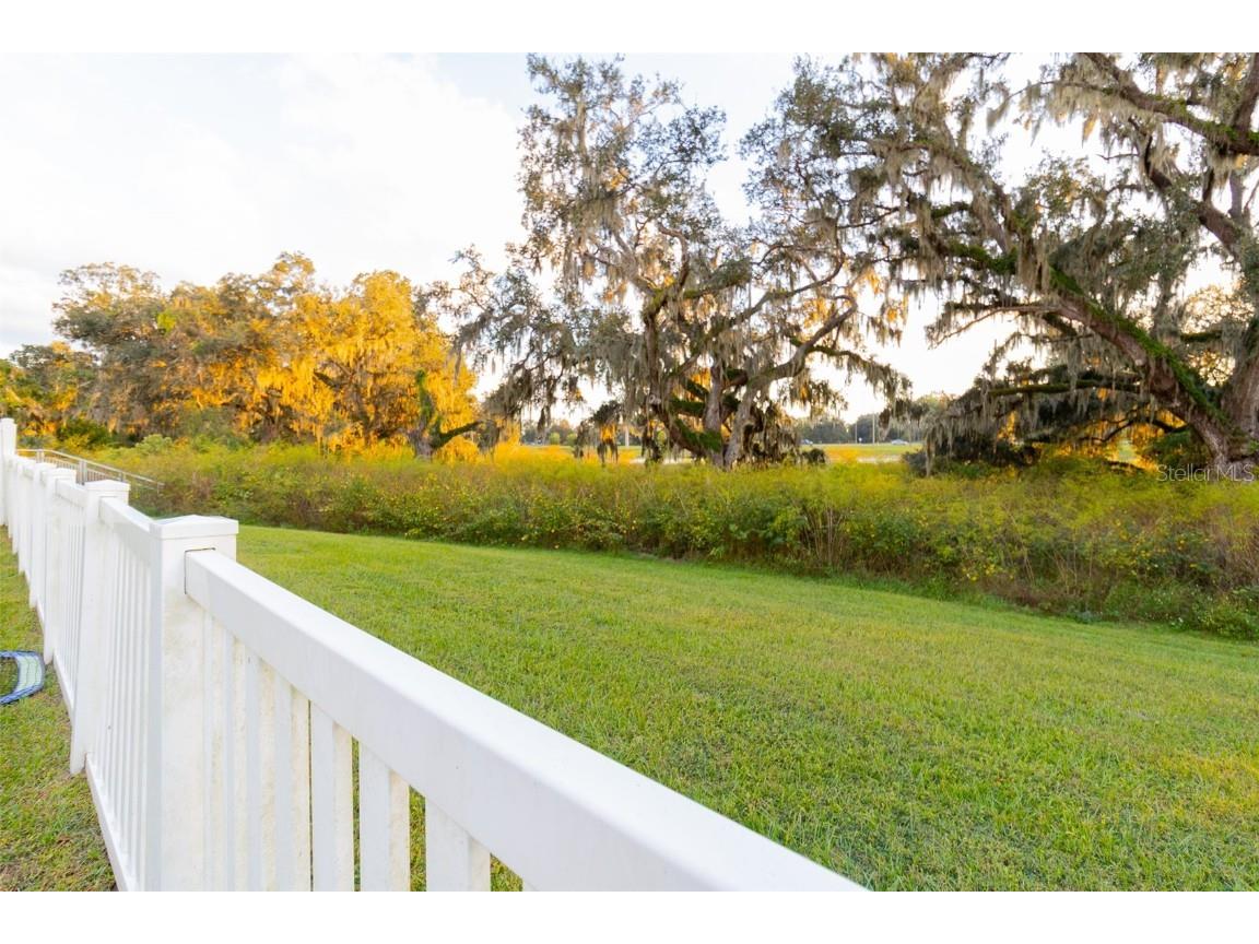 35576 Eastbrook Ave Zephyrhills FL 33541 O6357887 image46