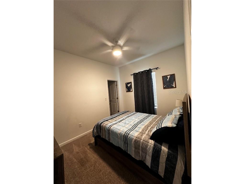 35576 Shade Fern Lane Zephyrhills FL 33541 O6347409 image10