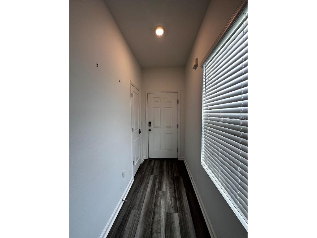 35576 Shade Fern Lane Zephyrhills FL 33541 O6347409 image3