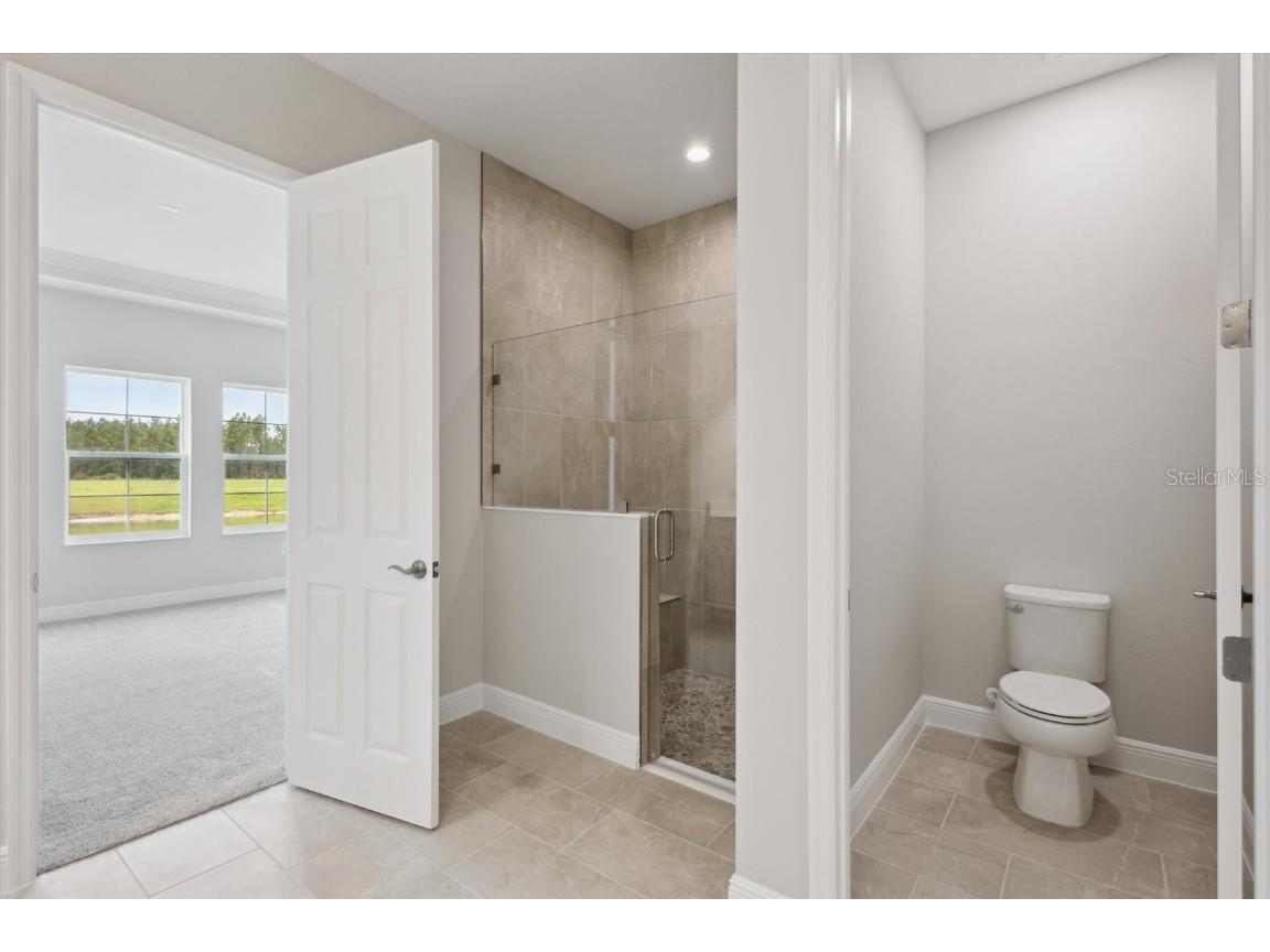 35579 Stableton Lane Zephyrhills FL 33541 TB8386763 image7