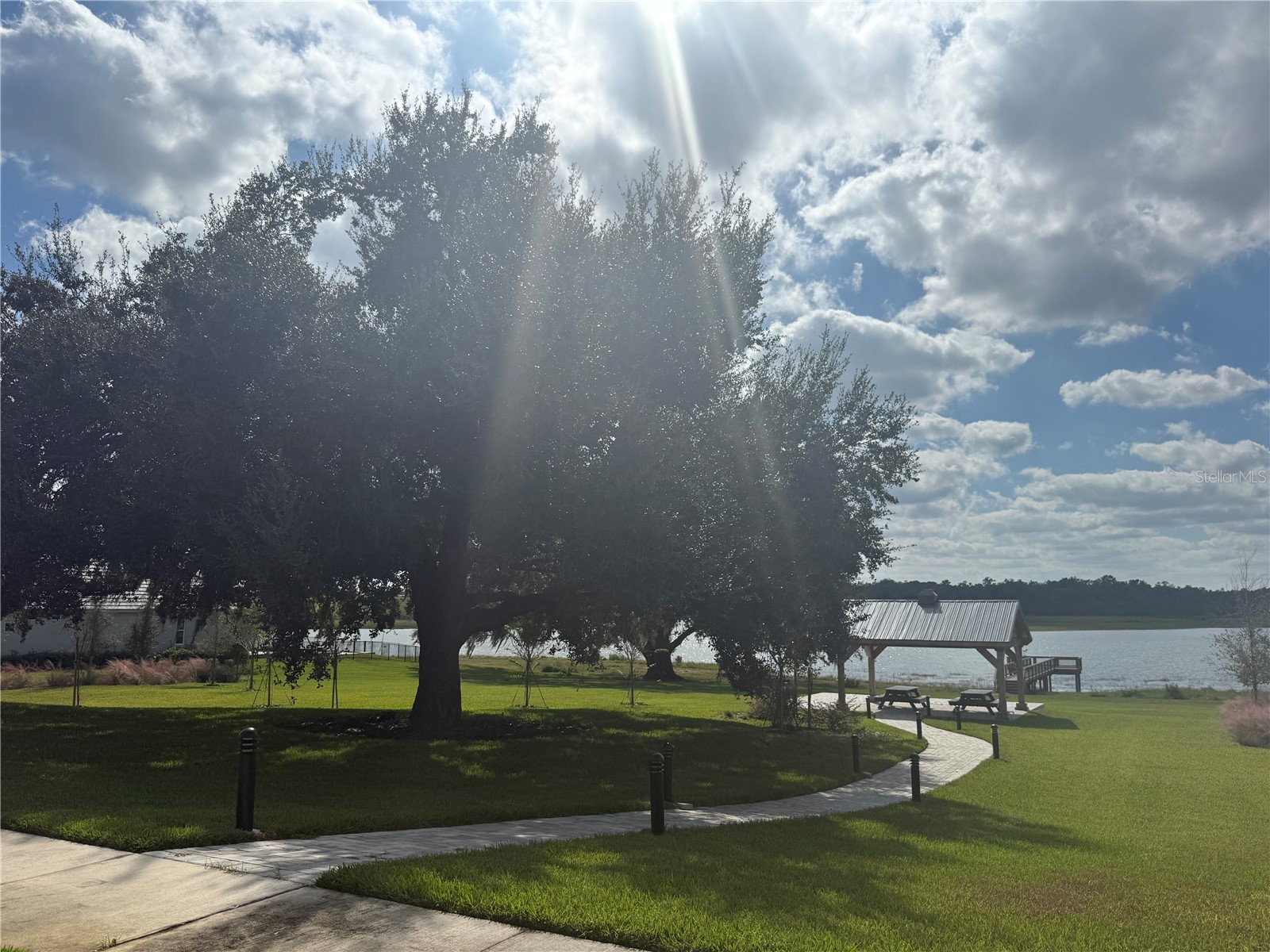 35588 Farmview Road Dade City FL 33525 O6357120 image51