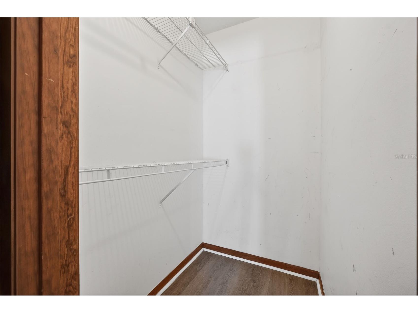 3559 Forest Branch Drive #APT E Port Orange FL 32129 V4947885 image19