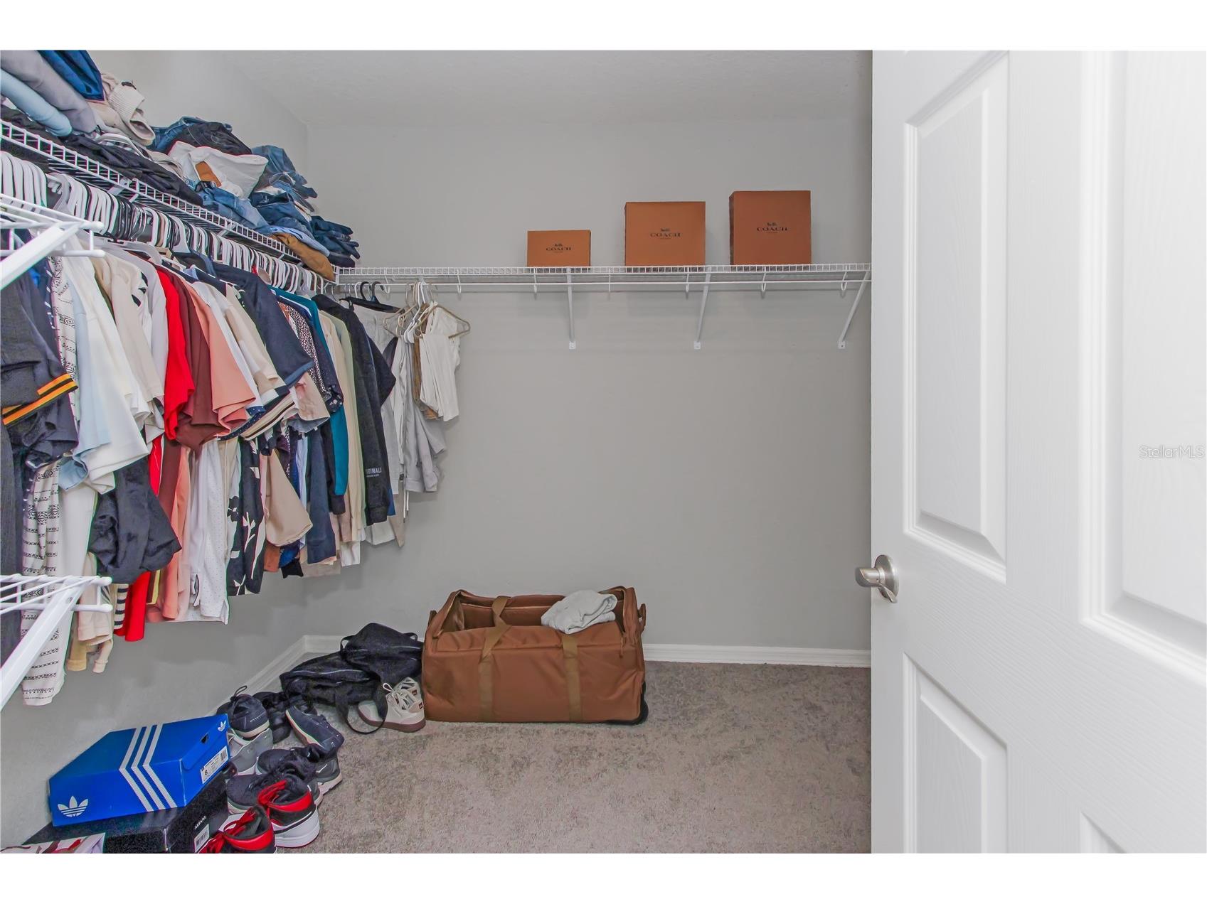 35598 Bellington Boulevard Zephyrhills FL 33541 O6387647 image20