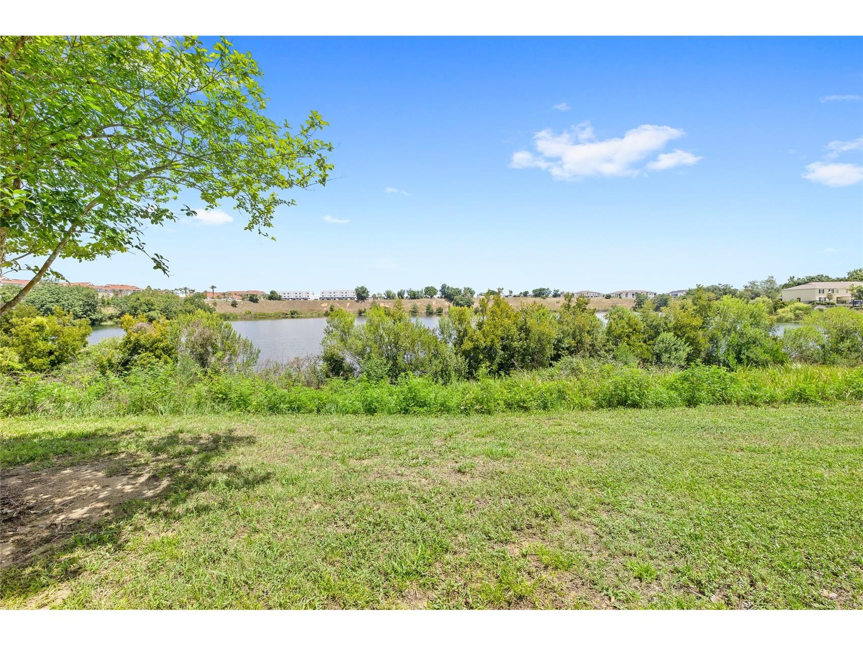 356 Arbor Lakes Drive Davenport FL 33896 O6412580 image5