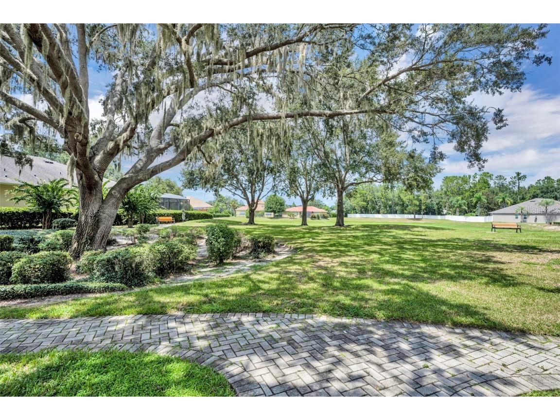 356 Blue Branch Street Eustis FL 32736 G5100533 image50