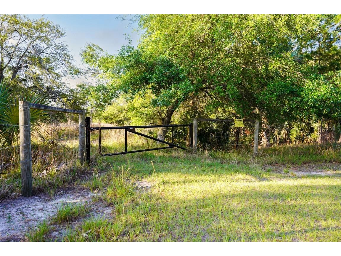 356 Drayton Island Road Georgetown FL 32139 - LAKE GEORGE / ST. JOHNS RIVER FC309078 image25