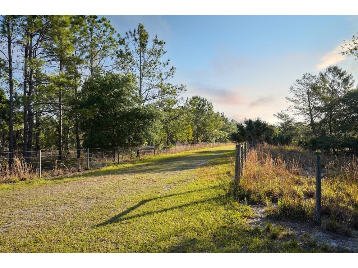 356 Drayton Island Road Georgetown FL 32139 - LAKE GEORGE / ST. JOHNS RIVER FC309078 image26