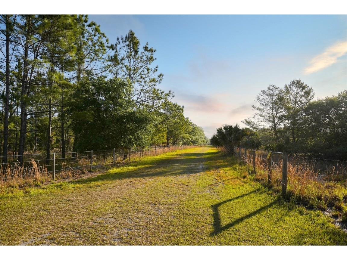 356 Drayton Island Road Georgetown FL 32139 - LAKE GEORGE / ST. JOHNS RIVER FC309078 image27